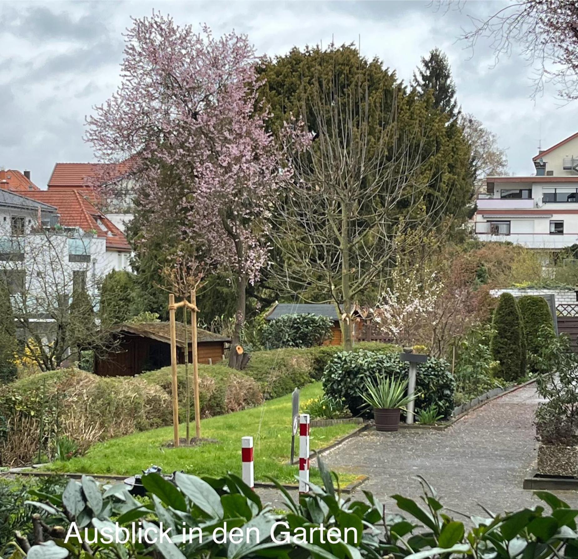 Appartementresidenz am Kurpark - Ferienwohnungen mit Pool&Sauna - Bad Salzuflen Zimmer foto